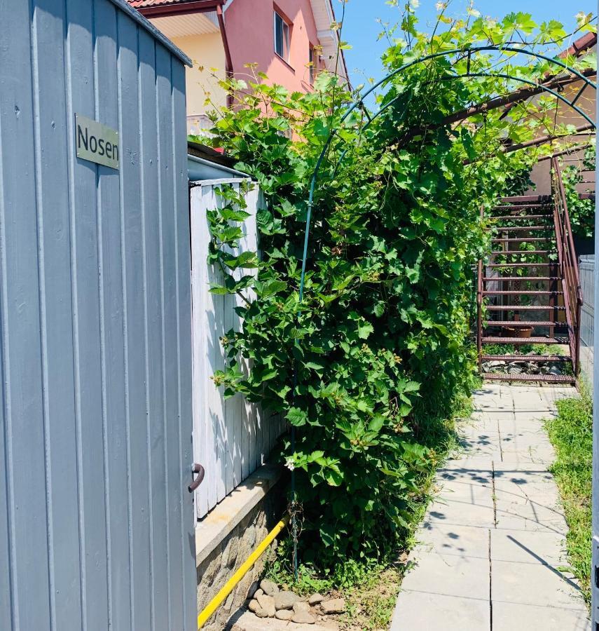 Nosen Apartment Bistriţa 外观 照片
